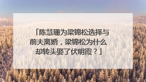 陈慧珊为梁锦松选择与前夫离婚,梁锦松为什么却转头娶了伏明霞?