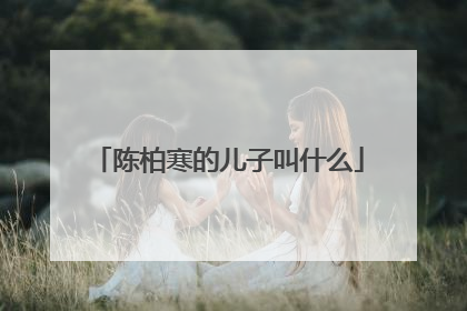 陈柏寒的儿子叫什么