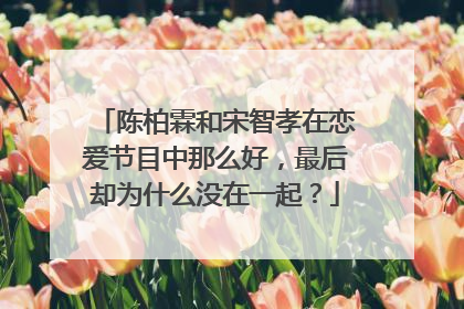 陈柏霖和宋智孝在恋爱节目中那么好，最后却为什么没在一起？