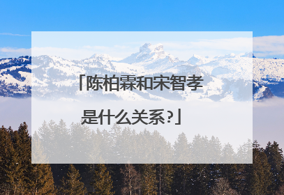 陈柏霖和宋智孝是什么关系?