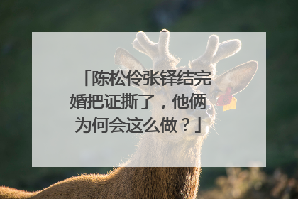 陈松伶张铎结完婚把证撕了,他俩为何会这么做?