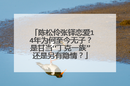 陈松伶张铎恋爱14年为何至今无子？是甘当“丁克一族”还是另有隐情？