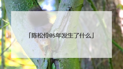 陈松伶05年发生了什么