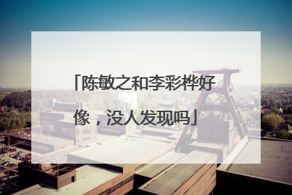 陈敏之和李彩桦好像,没人发现吗