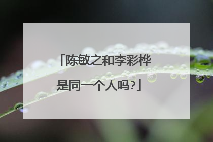 陈敏之和李彩桦是同一个人吗?