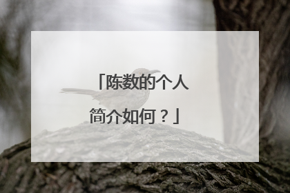 陈数的个人简介如何？