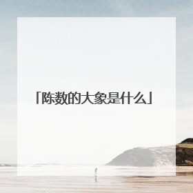 陈数的大象是什么