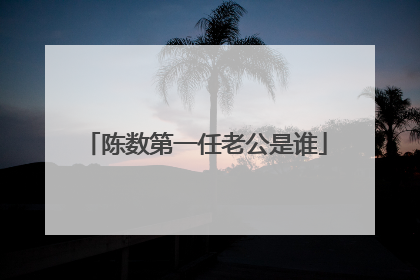 陈数第一任老公是谁