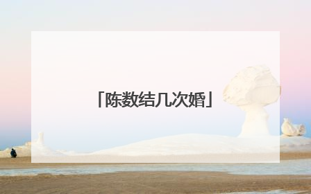 陈数结几次婚