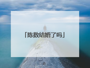 陈数结婚了吗