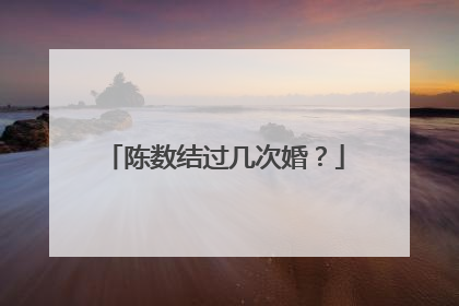 陈数结过几次婚？