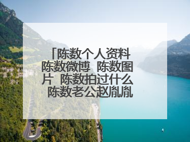 陈数个人资料 陈数微博 陈数图片 陈数拍过什么 陈数老公赵胤胤 ??