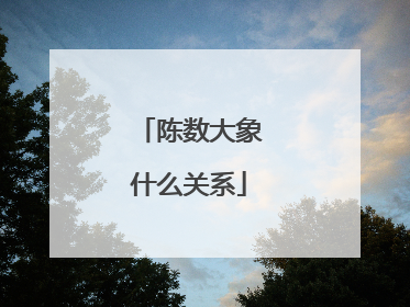 陈数大象什么关系