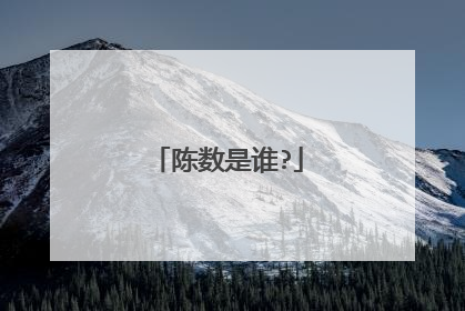 陈数是谁?