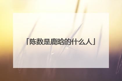 陈数是鹿晗的什么人