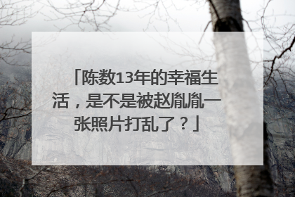 陈数13年的幸福生活,是不是被赵胤胤一张照片打乱了?