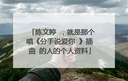 陈文婷 ，就是那个唱《分手说爱你 》插曲 的人的个人资料