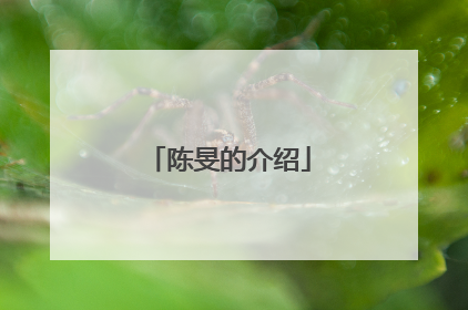 陈旻的介绍