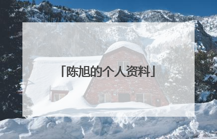 陈旭的个人资料