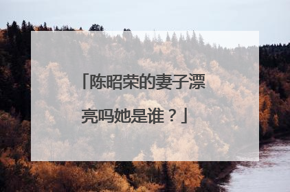 陈昭荣的妻子漂亮吗她是谁？