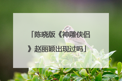 陈晓版《神雕侠侣》赵丽颖出现过吗