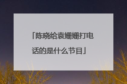陈晓给袁姗姗打电话的是什么节目