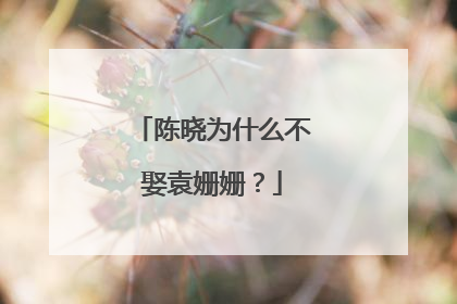 陈晓为什么不娶袁姗姗？