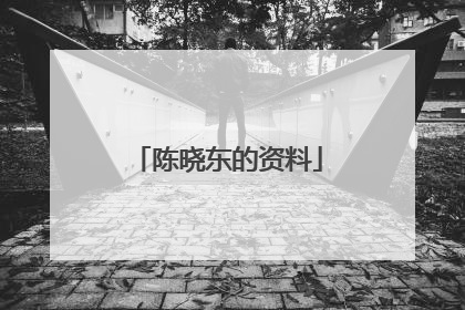 陈晓东的资料