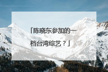 陈晓东参加的一档台湾综艺？