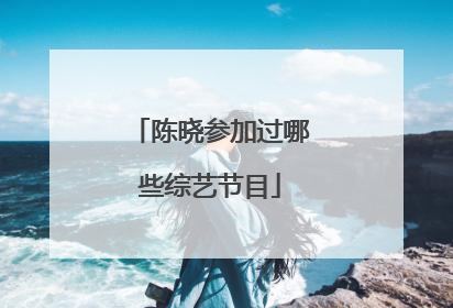 陈晓参加过哪些综艺节目