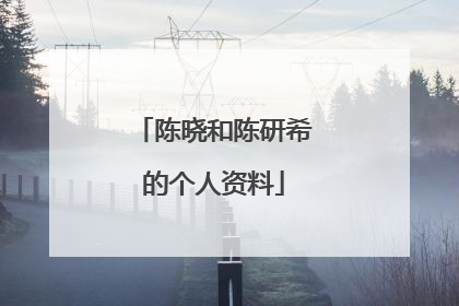 陈晓和陈研希的个人资料