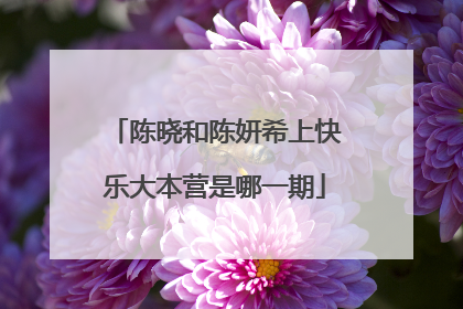 陈晓和陈妍希上快乐大本营是哪一期