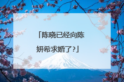 陈晓已经向陈妍希求婚了?