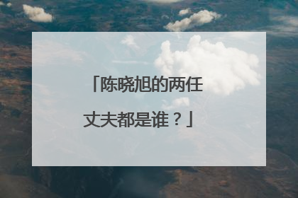 陈晓旭的两任丈夫都是谁？