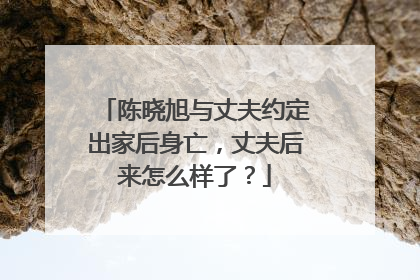 陈晓旭与丈夫约定出家后身亡，丈夫后来怎么样了？