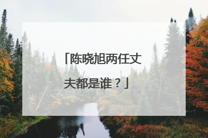 陈晓旭两任丈夫都是谁？