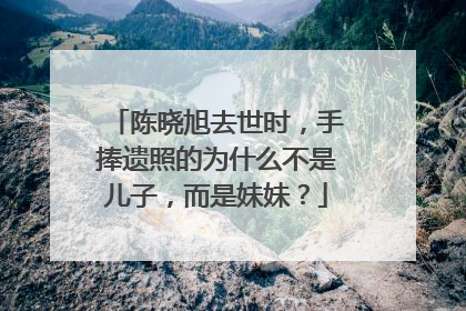陈晓旭去世时,手捧遗照的为什么不是儿子,而是妹妹?