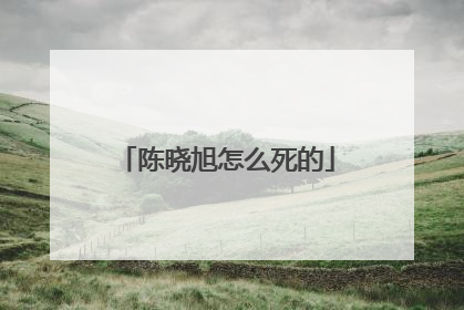 陈晓旭怎么死的