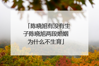 陈晓旭有没有生子陈晓旭两段婚姻为什么不生育