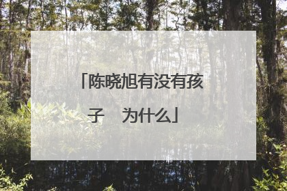 陈晓旭有没有孩子 为什么