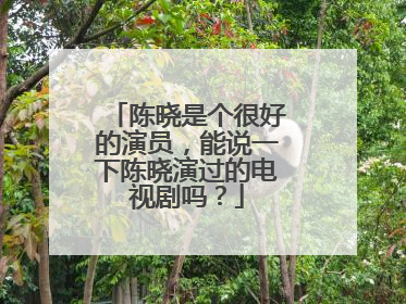 陈晓是个很好的演员,能说一下陈晓演过的电视剧吗?