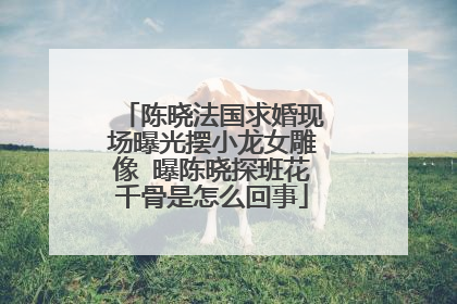 陈晓法国求婚现场曝光摆小龙女雕像 曝陈晓探班花千骨是怎么回事