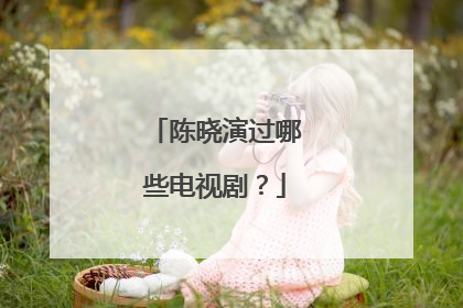 陈晓演过哪些电视剧？