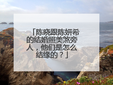陈晓跟陈妍希的结婚照美煞旁人,他们是怎么结缘的?