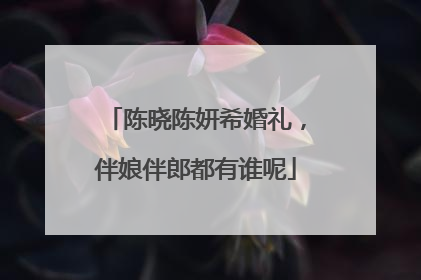 陈晓陈妍希婚礼,伴娘伴郎都有谁呢