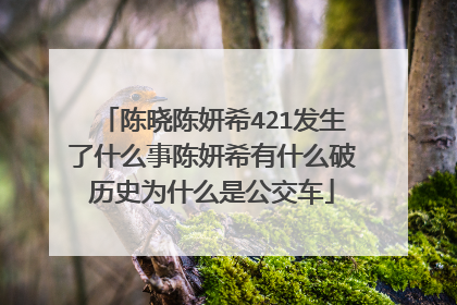 陈晓陈妍希421发生了什么事陈妍希有什么破历史为什么是公交车