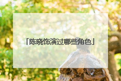 陈晓饰演过哪些角色