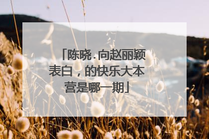 陈晓.向赵丽颖表白，的快乐大本营是哪一期