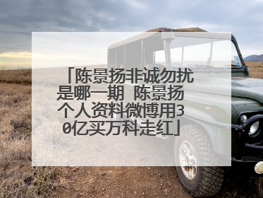 陈景扬非诚勿扰是哪一期 陈景扬个人资料微博用30亿买万科走红