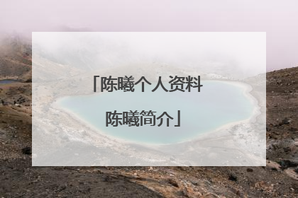 陈曦个人资料 陈曦简介